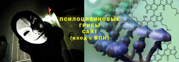 прущий лед Алзамай