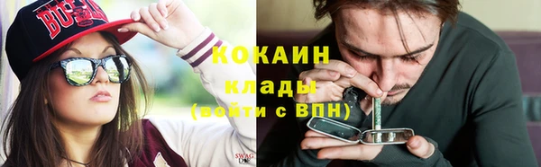 прущий лед Алзамай