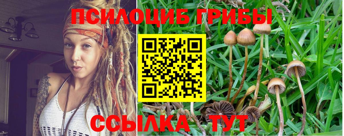 Ярцево  Галлюциногенные грибы ЛСД  Вход с VPN  Галлюциногенные грибы MAGIC MUSHROOMS 